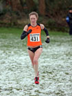 431 Saltwell 10k Road Race.